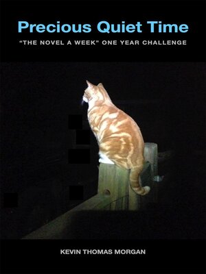 cover image of Precious Quiet Time